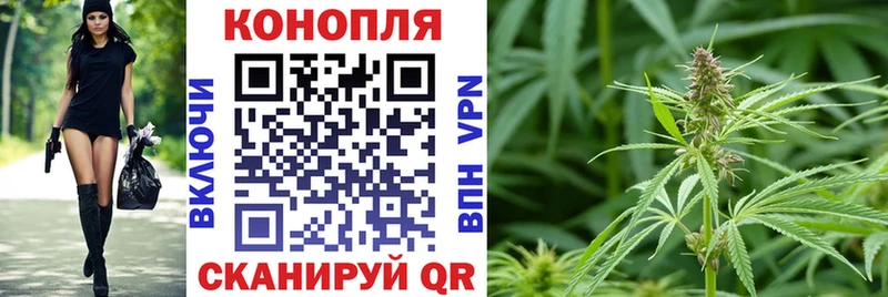 цена   Москва  Канабис Bruce Banner 